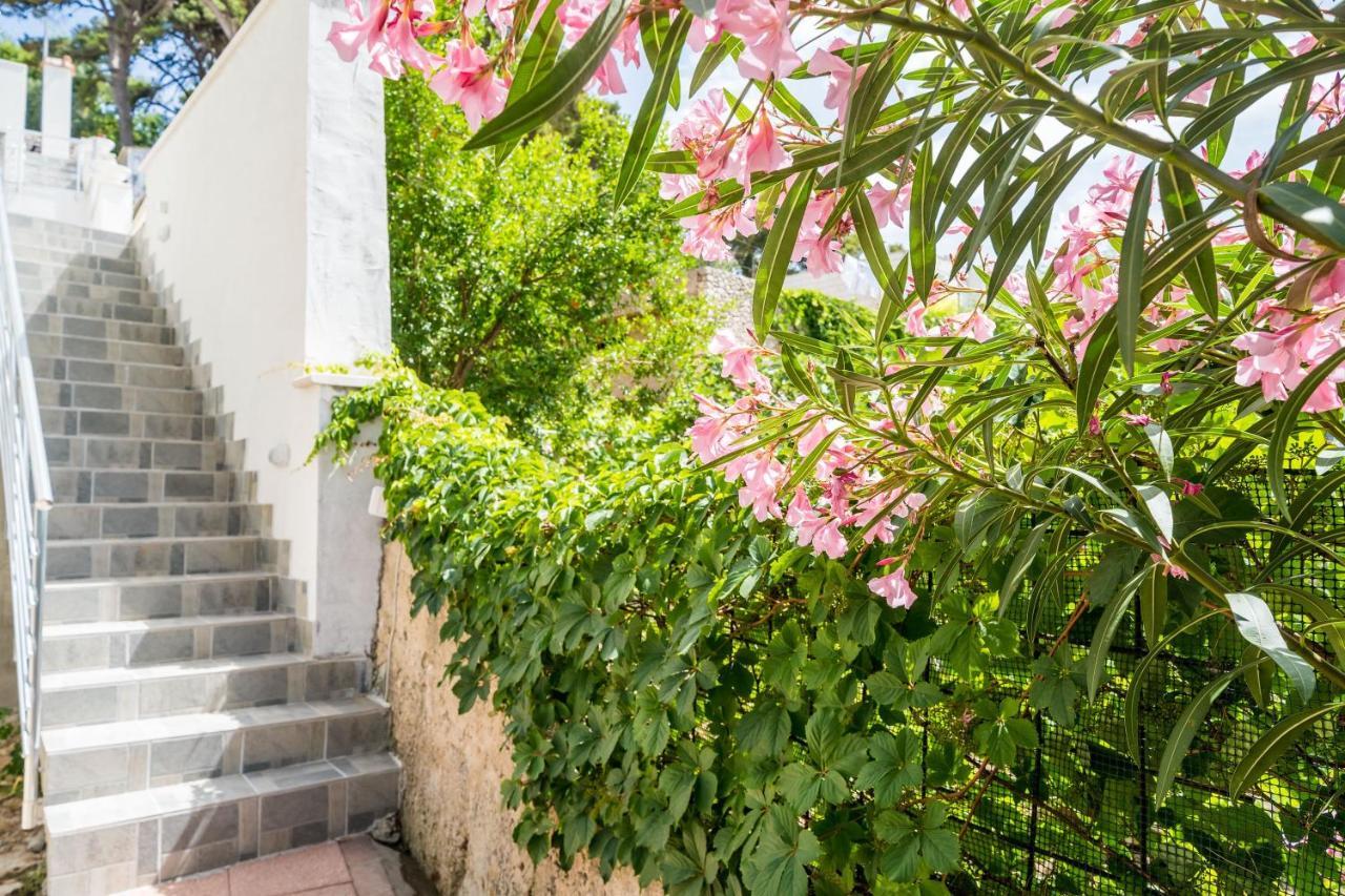 Apartment Eulalija Dubrovnik Kültér fotó
